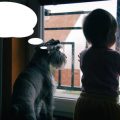動物病院の種類と特徴：クリニックと専門病院の違いを徹底解説