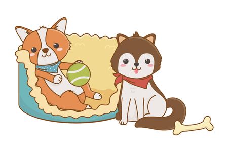 日本の住環境を踏まえたケージ選択のコツ