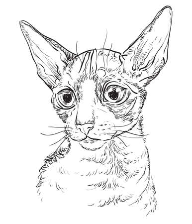 グレインフリーキャットフードのメリット