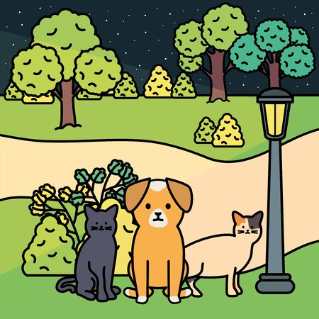 日本で増加する老犬・老猫：高齢動物特有の行動変化と対処法