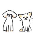 羽づくろいから分かる鳥の健康状態