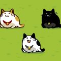 初めて猫を飼う人のためのキャットフード選び完全ガイド