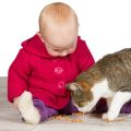 ペットの分離不安症とは？飼い主が気を付けるべきサインと具体的な改善ステップ