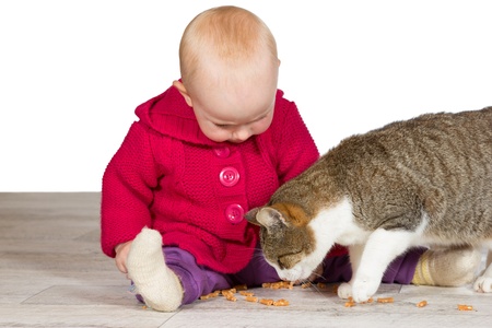ペットの分離不安症とは？飼い主が気を付けるべきサインと具体的な改善ステップ