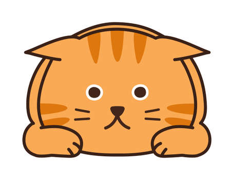 地域ごとのゴミ分別ルールのちがい
