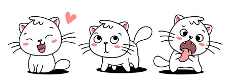 多頭飼いならではのワクチン管理の課題