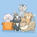 【梅雨の季節に】湿気とカビから守る！ペットのための梅雨対策グッズ