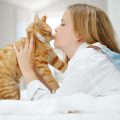 犬の年齢別に考える最適な食事と必要な栄養素
