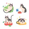 猫の健康を守るためのトイレ砂の選び方と注意点