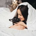 子どもと一緒に犬の散歩。事故を防ぐための日本の注意点