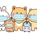 安全で快適な小動物のケージレイアウト基礎ガイド