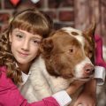 犬と引っ越しする際の安全対策と事前準備について