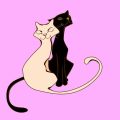 猫のしつけ基礎知識：初めて飼う方のためのガイド