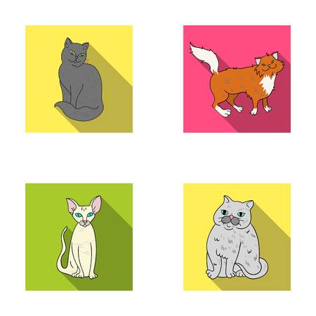 異常な羽づくろいが示すサイン