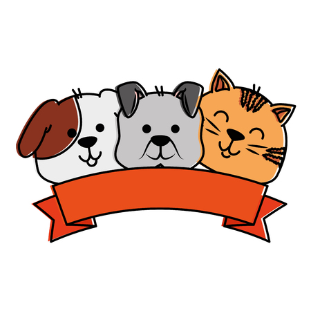 日本の住宅事情に合わせたキャットタワーの種類と選び方