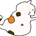 ラグドールの性格と日本の家庭での飼いやすさ