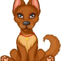 動物保護施設におけるワクチン接種の基準と運用方法