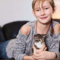日本の動物病院でよく相談される老犬・老猫の健康問題とその予防法