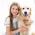 自治体ごとの犬・猫の登録・管理・保護施設の役割と運営の法的根拠