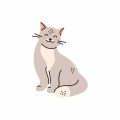 キャットフードに含まれる添加物・保存料の安全性とは
