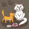 巣引きと子育てに伴うしつけ：多頭飼いの注意点とコツ