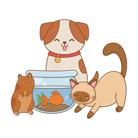 必要な栄養バランスのポイント