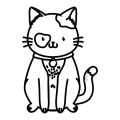 失敗しないお留守番のしつけと環境づくり：長時間外出の対応策