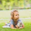 ペットのしつけがトラブル防止につながる理由としつけ方のコツ