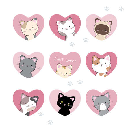 好みに合わせたキャットフードの選び方