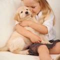 日本の動物愛護週間と海外（欧米・アジア）との比較分析