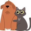 日本で飼われている小型犬種・猫種別おすすめベッド徹底比較