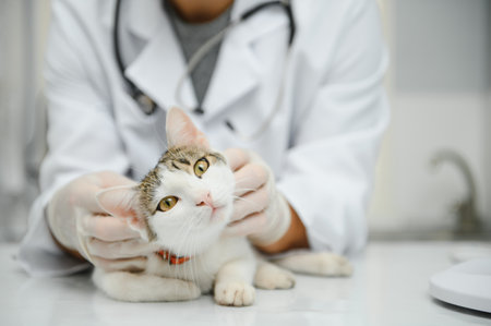 複数の猫の健康管理：予防接種や健康診断のコツ