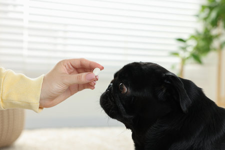 季節ごとに変える小動物ケージの快適温度管理と工夫