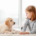 子どもとペットが安心して過ごせる室内環境づくり