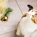 クリッカーを用いた多頭飼いトレーニングのポイントと日本の事例