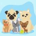 保護犬・里親犬のトイレトレーニング実践ガイド