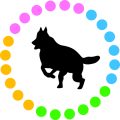 災害時に備える犬の非常食と日常の備蓄方法