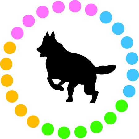 災害時に備える犬の非常食と日常の備蓄方法