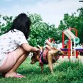 子どもとペットの共存におけるしつけの基本ルール