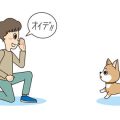 小動物の成長に合わせて変えるケージレイアウト事例集