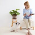 ペットショップ経由・個人取引における登録義務とは