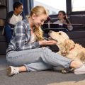 カフェや公共施設で愛犬と過ごすときのルールとしつけ