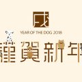 クリッカートレーニングと日本の伝統的なしつけ法の違いと融合のヒント
