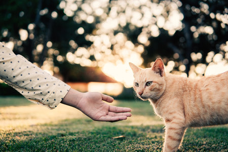 ペットのお別れを迎える子どもへの説明と心のケア方法