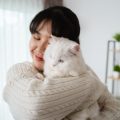市販キャットフードと手作りごはん、どちらが猫に良い？