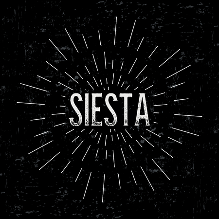 中型犬に合う食事のバランス