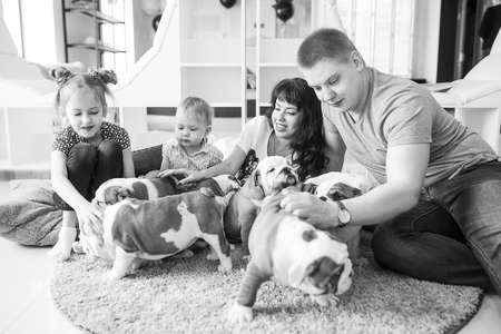 子どもとペットが共存する家庭での無駄吠え・噛み癖トラブル対策