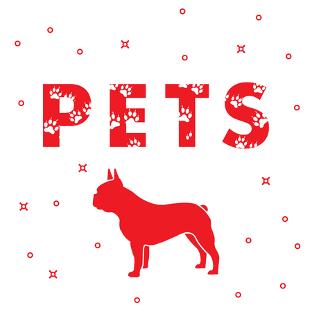 多頭飼い家庭のための犬ごはん管理術