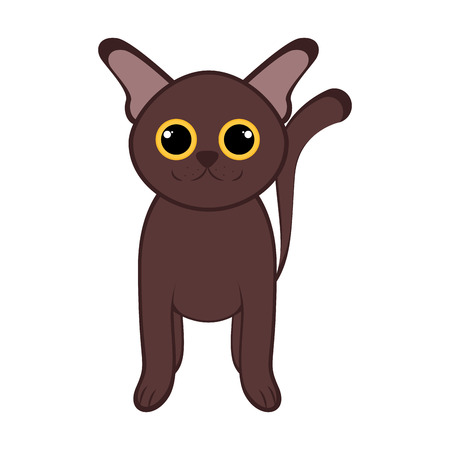 成犬の運動不足を防ぐ：毎日の散歩と遊びで健康を保つアイディア集