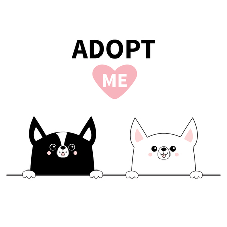 症状を見逃さない！早期発見のコツ